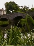 Kildare Canal